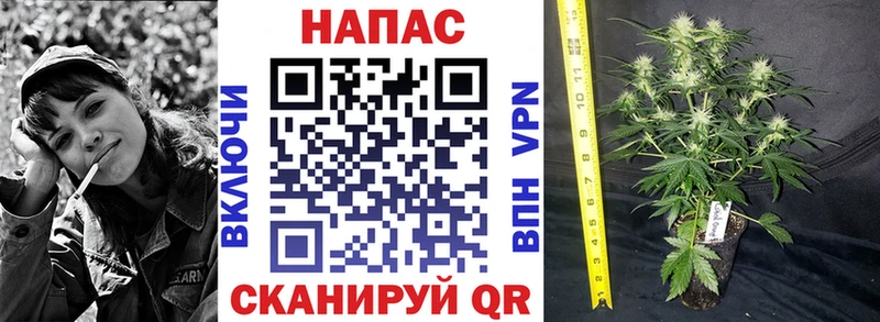 МАРИХУАНА марихуана  наркота  Каменск-Шахтинский 